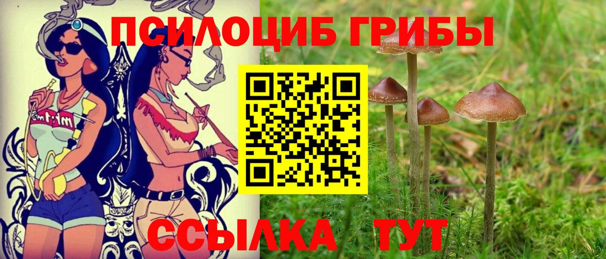 Псилоцибиновые грибы ЛСД Раменское